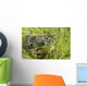 Green Frog Wall Mural