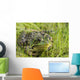 Green Frog Wall Mural