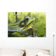 Green Frog Partly Submerged In Water Wall Mural