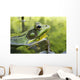 Green Frog Partly Submerged In Water Wall Mural