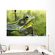Green Frog Partly Submerged In Water Wall Mural
