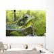 Green Frog Partly Submerged In Water Wall Mural