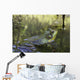 Green Frog Partly Submerged In Water Wall Mural