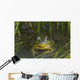 Green Frog Partly Submerged In Water Wall Mural