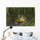 Green Frog Partly Submerged In Water Wall Mural
