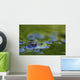 Green Frog Partly Submerged In Water Wall Mural
