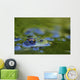 Green Frog Partly Submerged In Water Wall Mural