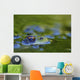 Green Frog Partly Submerged In Water Wall Mural