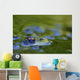 Green Frog Partly Submerged In Water Wall Mural