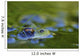 Green Frog Partly Submerged In Water Wall Mural