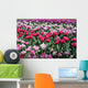 Tulips Pink Variations Wall Mural