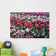 Tulips Pink Variations Wall Mural