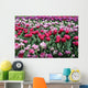 Tulips Pink Variations Wall Mural