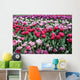 Tulips Pink Variations Wall Mural