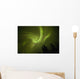 Aurora borealis dances over annie lake Wall Mural