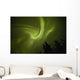 Aurora borealis dances over annie lake Wall Mural