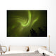 Aurora borealis dances over annie lake Wall Mural
