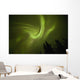 Aurora borealis dances over annie lake Wall Mural
