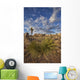 Yucca plants and joshua trees dot the landscape Wall Mural