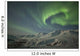 Aurora borealis dances over the klondike valley Wall Mural