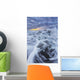 Waves Wall Mural