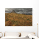 The mountain kirkjufell on the snaefellsnes peninsula Wall Mural