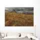 The mountain kirkjufell on the snaefellsnes peninsula Wall Mural