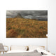 The mountain kirkjufell on the snaefellsnes peninsula Wall Mural