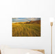 Sunset over the blowing grass and mud formations Wall Mural