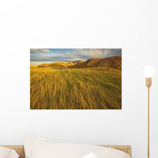 Sunset over the blowing grass and mud formations Wall Mural