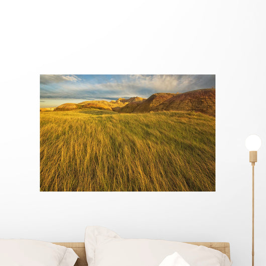 Sunset over the blowing grass and mud formations Wall Mural