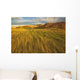 Sunset over the blowing grass and mud formations Wall Mural