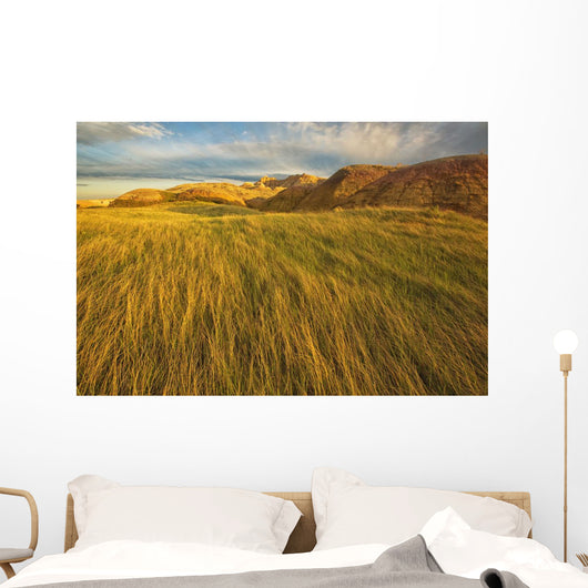 Sunset over the blowing grass and mud formations Wall Mural