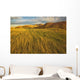 Sunset over the blowing grass and mud formations Wall Mural