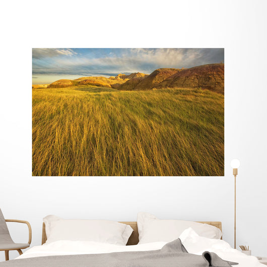 Sunset over the blowing grass and mud formations Wall Mural