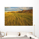 Sunset over the blowing grass and mud formations Wall Mural