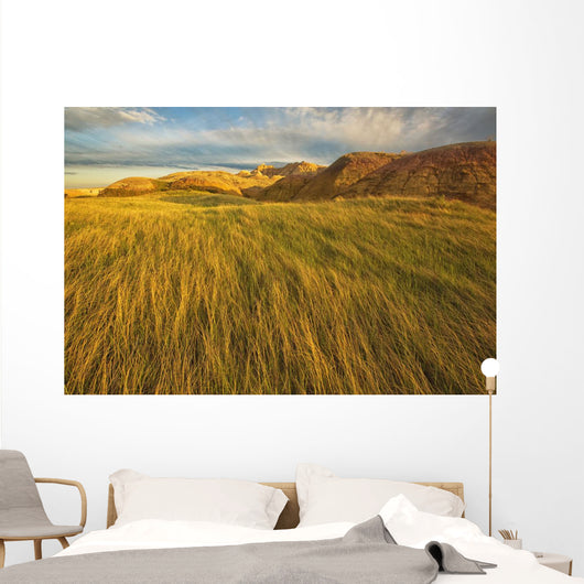 Sunset over the blowing grass and mud formations Wall Mural