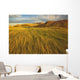 Sunset over the blowing grass and mud formations Wall Mural