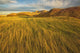 Sunset over the blowing grass and mud formations Wall Mural