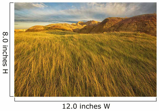 Sunset over the blowing grass and mud formations Wall Mural