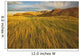 Sunset over the blowing grass and mud formations Wall Mural