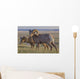 Bighorn sheep in badlands national park Wall Mural