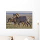 Bighorn sheep in badlands national park Wall Mural