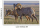 Bighorn sheep in badlands national park Wall Mural