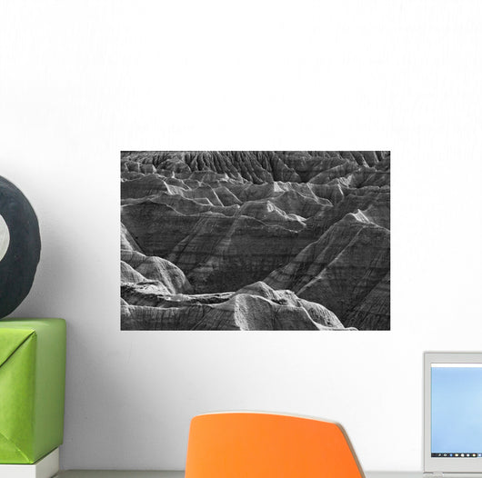 Black and white image of the badlands national park Wall Mural