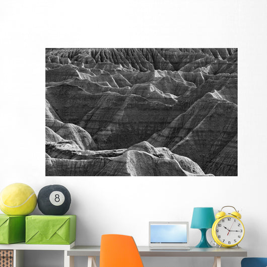 Black and white image of the badlands national park Wall Mural