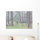 Trees in the fog along a highway in the black hills of south dakota Wall Mural