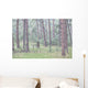 Trees in the fog along a highway in the black hills of south dakota Wall Mural