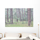 Trees in the fog along a highway in the black hills of south dakota Wall Mural