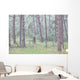 Trees in the fog along a highway in the black hills of south dakota Wall Mural
